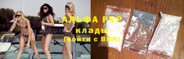 стаф Семикаракорск